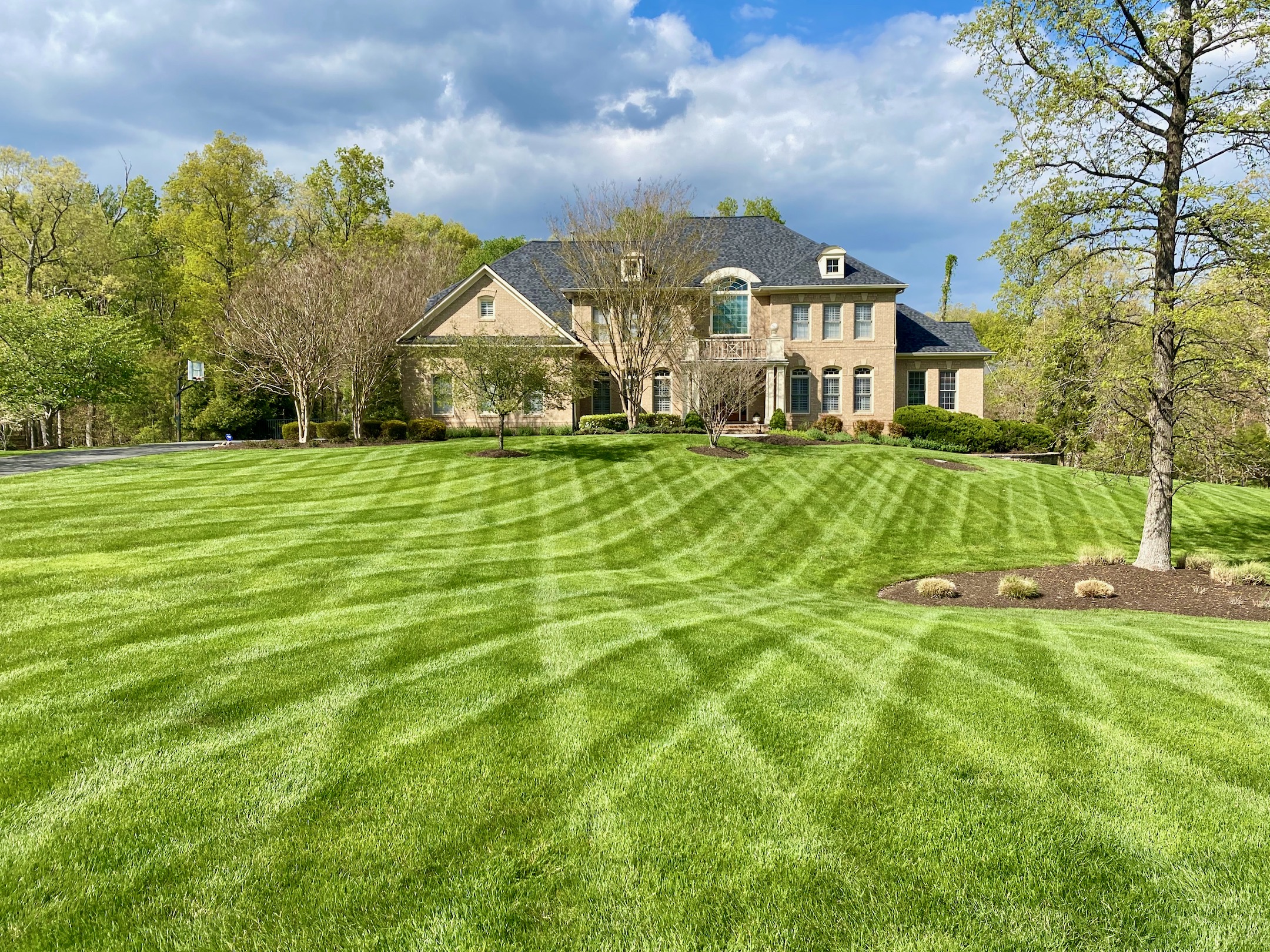 Thatch aerate store and overseed