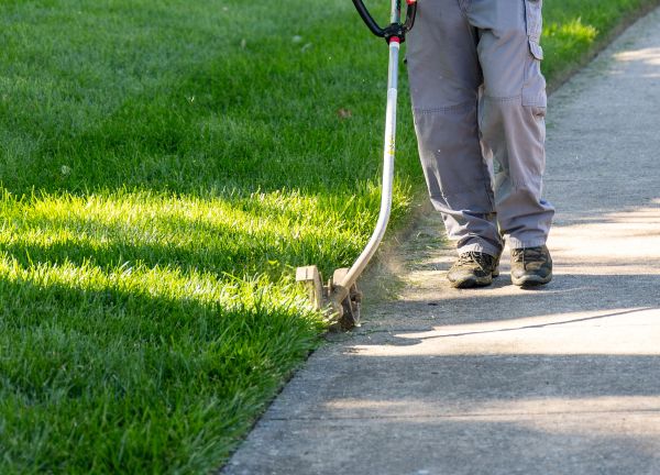 Should You Edge Your Lawn?