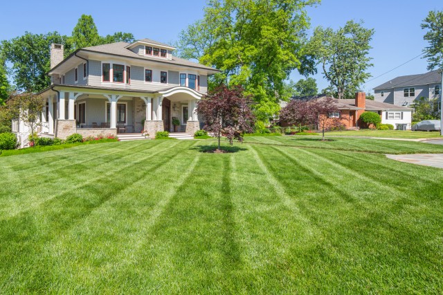 Image of Organic Turf Care
