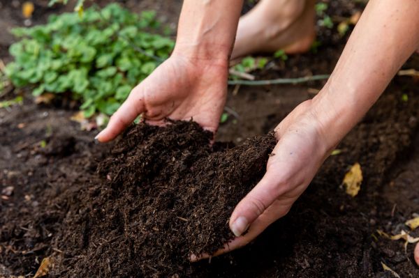 How To Know if Your Soil Is Healthy | The Brandon Rushing Blog