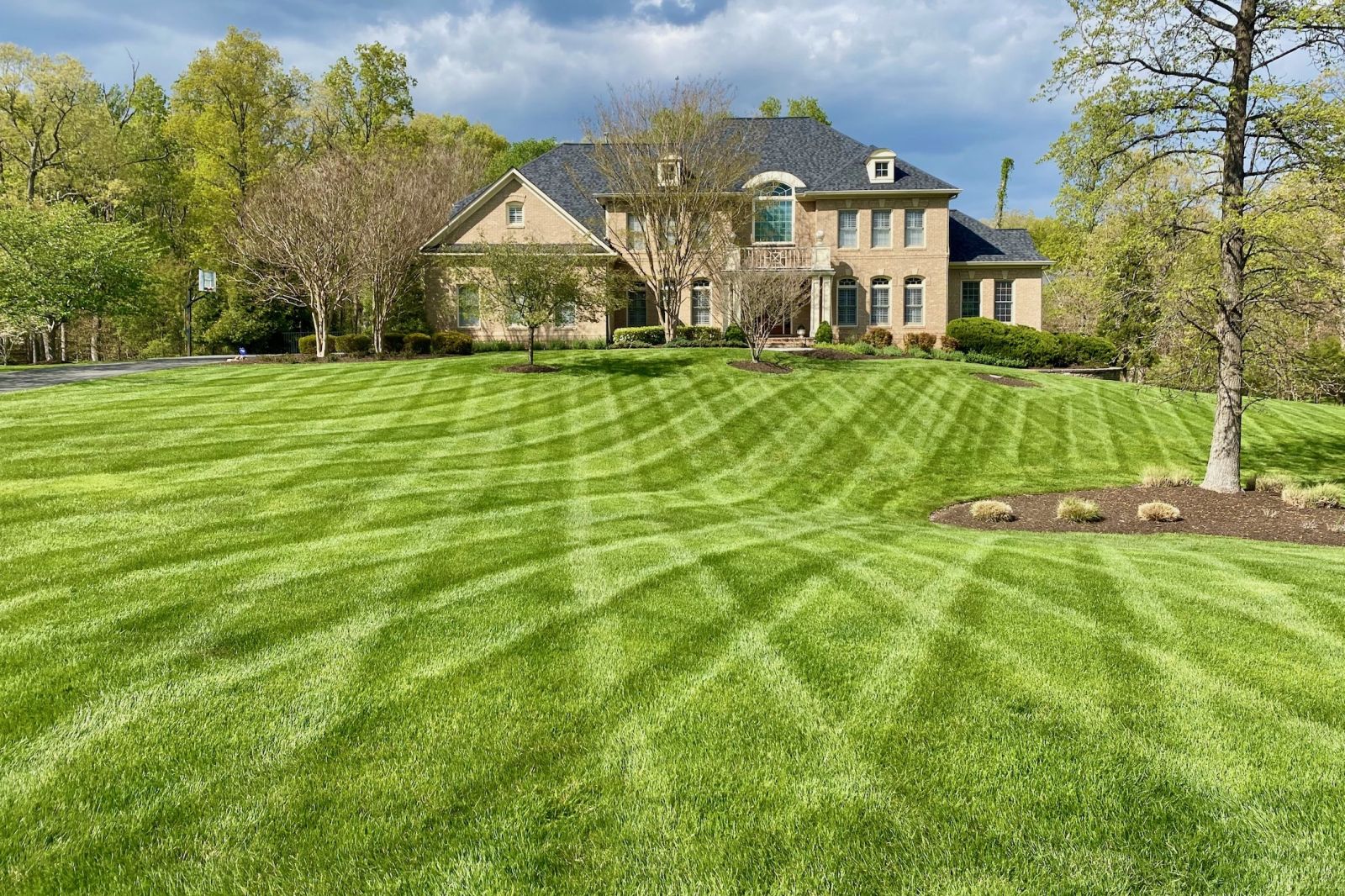 kc-heat-beat-your-lawn-here-s-how-overseeding-can-help