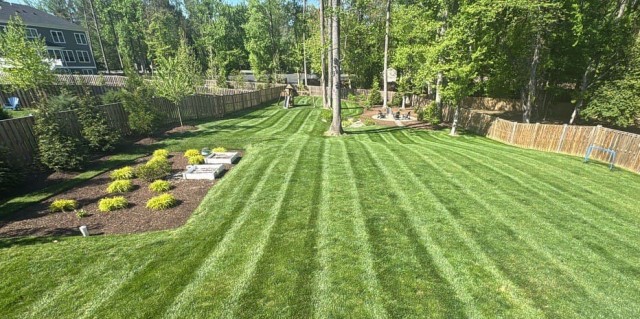 Image of Super Lawn Renovation Program